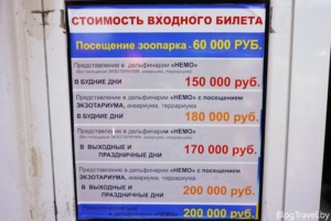 Сколько стоят билеты в дельфинарий в челябинске 2018 Сколько стоят билеты в дельфинарий в челябинске 2018