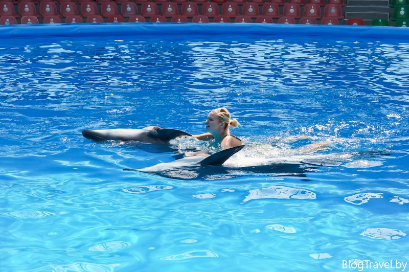 Дельфинарий Немо в Минске